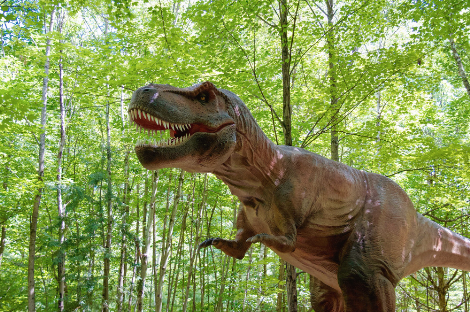 Lake George Expedition Park, United States